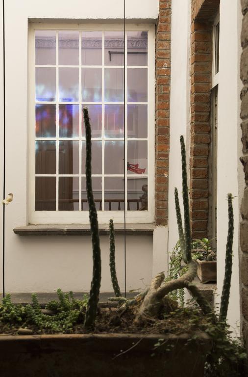 El Patio 77 B&B Mexico City Ngoại thất bức ảnh