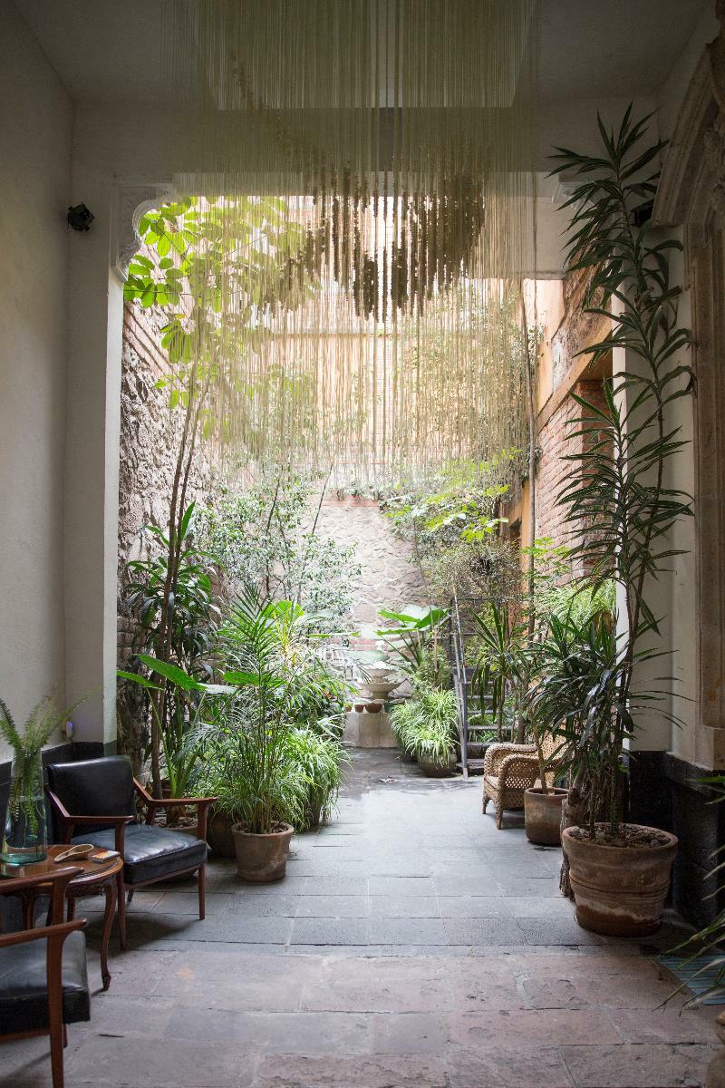 El Patio 77 B&B Mexico City Ngoại thất bức ảnh